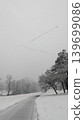 Flock of migratory birds flying in V formation over snowy winter road. 139699086