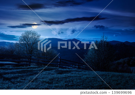 mountainous rural landscape in spring at night. mysterious view of valley fields. full moon over alpine meadow. carpathian mountains countryside with forest near pasture. agricultural fantasy 139699696