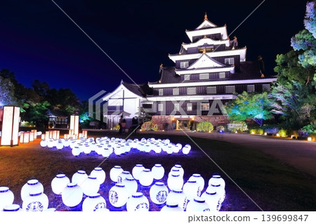 [Okayama Prefecture] Springtime night view and illumination of Okayama Castle (Springtime Torijo Togenkyo) 139699847