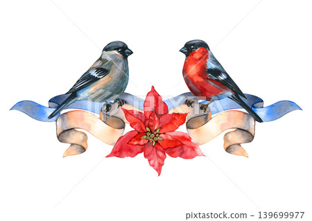Watercolor Christmas composition, gracefully hand drawn. It features a pair of bullfinch birds perched on an elegant beige and blue ribbon scroll, with a vibrant red poinsettia flower blooming at the Watercolor Christmas composition, gracefully hand drawn. It features a pair of bullfinch birds perched on an elegant beige and blue ribbon scroll, with a vibrant red poinsettia flower blooming at the 139699977