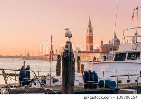 Seagull Sitting On Beautiful Venice Background. Italy travel, European city 139700154
