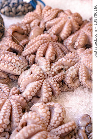 Fresh Whole Octopus on Ice Premium Seafood Market Close Up View. Gastronomy Fresh Whole Octopus on Ice Premium Seafood Market Close Up View. Gastronomy 139700166