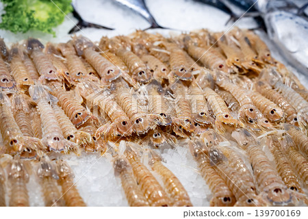 Fresh mantis shrimp on ice at Mediterranean seafood market. Fresh seafood trade. 139700169