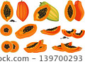 exotic papaya slices and whole fruits flat graphic set 139700293