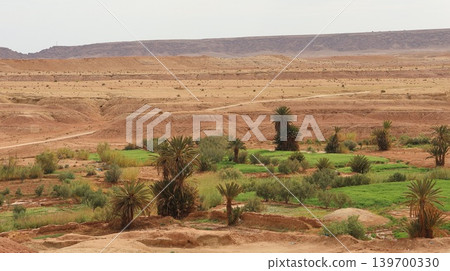 A lush oasis of green fields and palm trees spreads across a dry desert valley A lush oasis of green fields and palm trees spreads across a dry desert valley 139700330