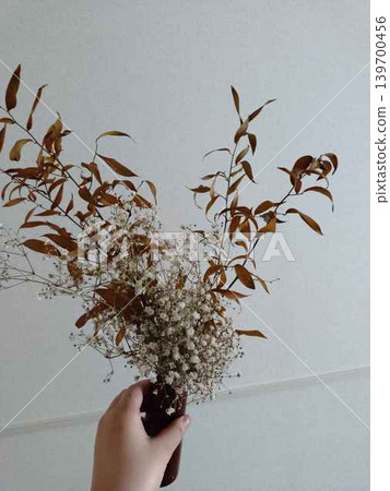 Dried flowers I have on hand 139700456