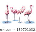 Pink flamingos. Watercolor illustration of pink tropical birds. Horizontal clip art of flamingo. Exotic African birds. Birds in the jungle. Tropical Template for invitation, card, cosmetic 139701032