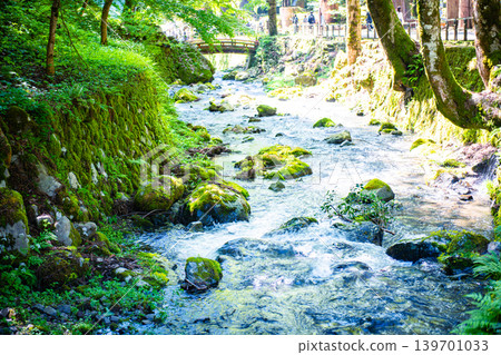Moss-covered stones and a clear stream at Eiheiji Temple Moss-covered stones and a clear stream at Eiheiji Temple 139701033