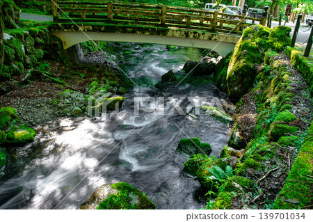 Moss-covered stones and a clear stream at Eiheiji Temple 139701034