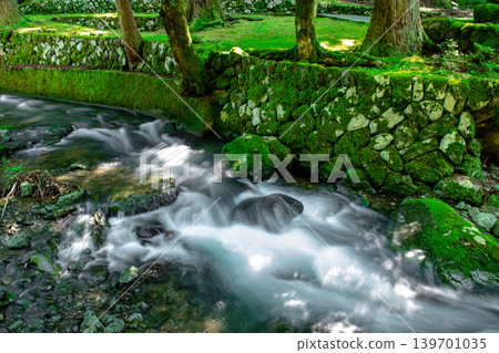 Moss-covered stones and a clear stream at Eiheiji Temple Moss-covered stones and a clear stream at Eiheiji Temple 139701035