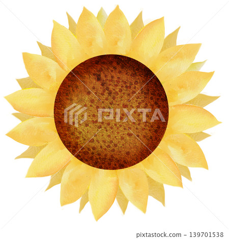 Sunflowers that have bloomed into large blossoms Sunflowers that have bloomed into large blossoms 139701538