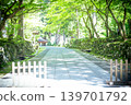 永平寺，一座長滿青苔的寺廟 139701792
