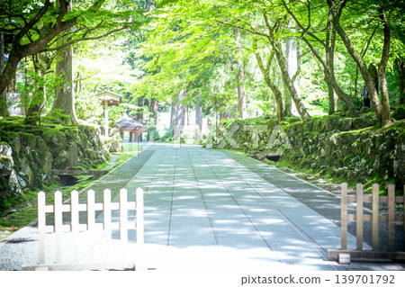 永平寺，一座長滿青苔的寺廟 139701792