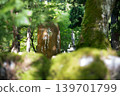 永平寺，一座長滿青苔的寺廟 139701799