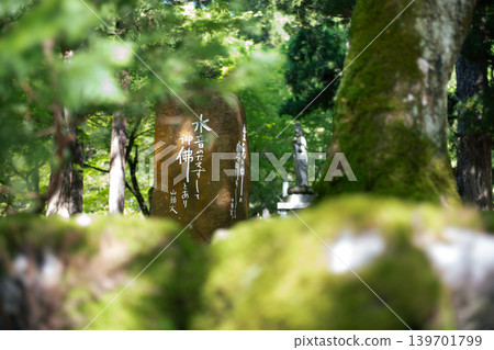 永平寺,一座長滿青苔的寺廟 永平寺,一座長滿青苔的寺廟 139701799