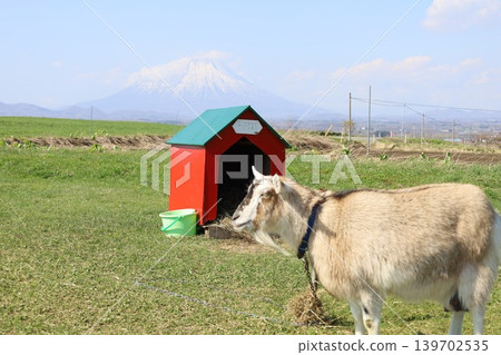 In early May, in springtime Hokkaido, at Lake Toya in central Hokkaido, Mount Yotei (also known as Ezo Fuji) can be seen from Lake Hill Farm on the lakeshore. In early May, in springtime Hokkaido, at Lake Toya in central Hokkaido, Mount Yotei (also known as Ezo Fuji) can be seen from Lake Hill Farm on the lakeshore. 139702535