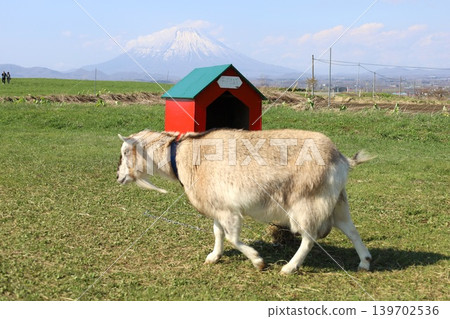 In early May, in springtime Hokkaido, at Lake Toya in central Hokkaido, Mount Yotei (also known as Ezo Fuji) can be seen from Lake Hill Farm on the lakeshore. In early May, in springtime Hokkaido, at Lake Toya in central Hokkaido, Mount Yotei (also known as Ezo Fuji) can be seen from Lake Hill Farm on the lakeshore. 139702536