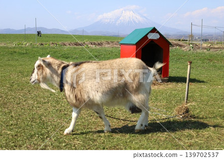 In early May, in springtime Hokkaido, at Lake Toya in central Hokkaido, Mount Yotei (also known as Ezo Fuji) can be seen from Lake Hill Farm on the lakeshore. In early May, in springtime Hokkaido, at Lake Toya in central Hokkaido, Mount Yotei (also known as Ezo Fuji) can be seen from Lake Hill Farm on the lakeshore. 139702537