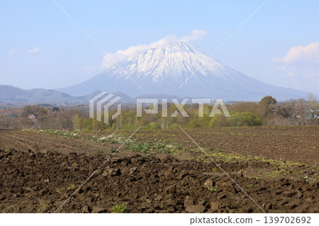 In early May, in springtime in Hokkaido, from Makari Village in Abuta District, which has been selected as one of Japan's 100 Villages to Preserve, one can see Mount Yotei, also known as Ezo Fuji, in its springtime glory. In early May, in springtime in Hokkaido, from Makari Village in Abuta District, which has been selected as one of Japan's 100 Villages to Preserve, one can see Mount Yotei, also known as Ezo Fuji, in its springtime glory. 139702692