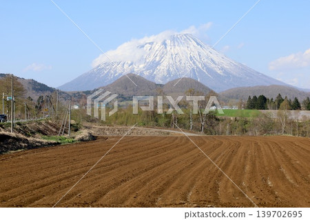 In early May, in springtime in Hokkaido, from Makari Village in Abuta District, which has been selected as one of Japan's 100 Villages to Preserve, one can see Mount Yotei, also known as Ezo Fuji, in its springtime glory. In early May, in springtime in Hokkaido, from Makari Village in Abuta District, which has been selected as one of Japan's 100 Villages to Preserve, one can see Mount Yotei, also known as Ezo Fuji, in its springtime glory. 139702695