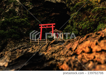 神秘的洞穴空間:屋久島矢羽津岳神社的神聖景觀 神秘的洞穴空間:屋久島矢羽津岳神社的神聖景觀 139702786