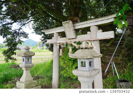 鳥取縣南部町，Kyakujinja Shrine，5月 139703432