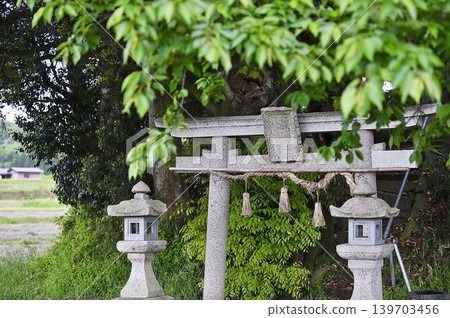 鳥取縣南部町，Kyakujinja Shrine，5月 139703456