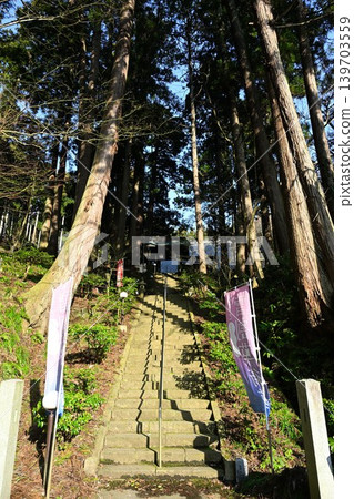 Cedar trees and Myohoji Temple (Nagaoka City, Niigata Prefecture) Cedar trees and Myohoji Temple (Nagaoka City, Niigata Prefecture) 139703559