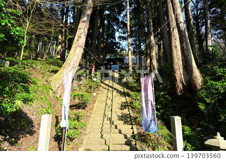 Cedar trees and Myohoji Temple (Nagaoka City, Niigata Prefecture) Cedar trees and Myohoji Temple (Nagaoka City, Niigata Prefecture) 139703560