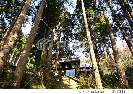 Cedar trees and Myohoji Temple (Nagaoka City, Niigata Prefecture) Cedar trees and Myohoji Temple (Nagaoka City, Niigata Prefecture) 139703563