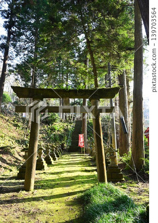 Cedar trees and Myohoji Temple (Nagaoka City, Niigata Prefecture) Cedar trees and Myohoji Temple (Nagaoka City, Niigata Prefecture) 139703564