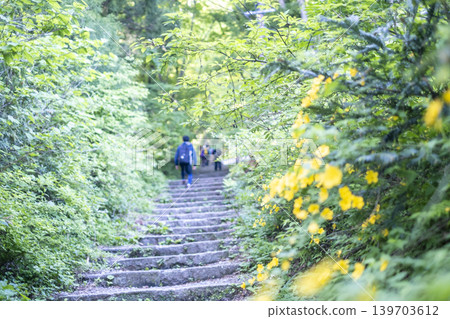 一張展現大山夏季登山步道上清新綠意和初夏景色的照片。 一張展現大山夏季登山步道上清新綠意和初夏景色的照片。 139703612