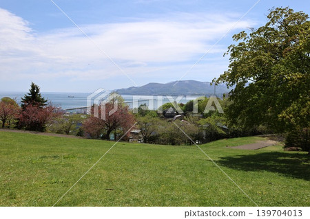 5月6日,在北海道小樽市,小樽手宮公園(正式名稱為手宮綠意植物園),一個俯瞰港口、春花盛開的公園。 5月6日,在北海道小樽市,小樽手宮公園(正式名稱為手宮綠意植物園),一個俯瞰港口、春花盛開的公園。 139704013