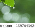 A single drop connected to a spider's thread 139704392