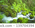 A clear stream flows over moss-covered rock faces. 139704394