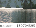 The water's surface at dusk and the island in the lake 139704395
