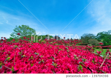 三俁町椎八公園，2026 139704398