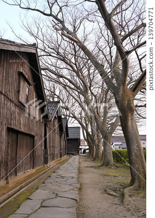 三協倉庫（山形縣酒田市）一排櫸樹 139704771