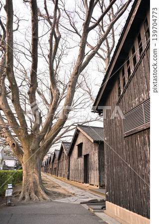 三協倉庫(山形縣酒田市)一排櫸樹 三協倉庫(山形縣酒田市)一排櫸樹 139704773