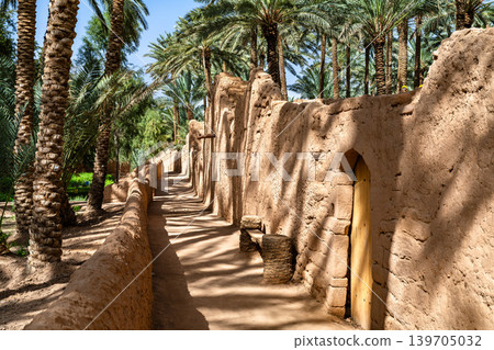 A narrow path winds between historic mudbrick walls and lush date palm trees in the AlUla Oasis, Saudi Arabia. 139705032