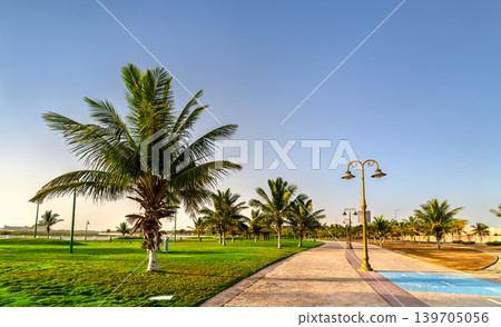 Sunny landscape of Shushu Park in Yanbu Saudi Arabia 139705056