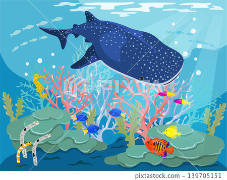海底的鯨鯊 海底的鯨鯊 139705151