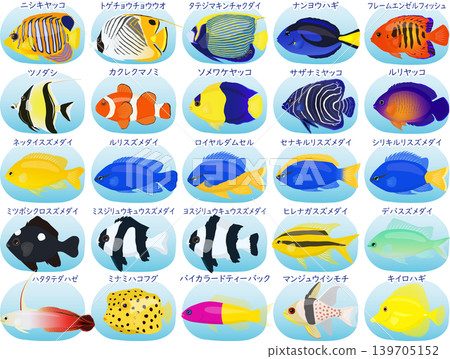 鹹水魚野外指南 鹹水魚野外指南 139705152