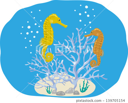 Seahorse with background 139705154