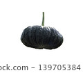Green pumpkin in garden isolated on white background 139705384