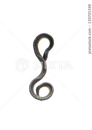Close-up Snake stuffed animal isolated on white background Close-up Snake stuffed animal isolated on white background 139705399
