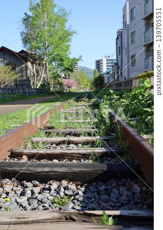Early May in Otaru, Hokkaido: Sightseeing, Springtime at the former Temiya Line site, Double cherry blossoms and a walk along the old Temiya Line Early May in Otaru, Hokkaido: Sightseeing, Springtime at the former Temiya Line site, Double cherry blossoms and a walk along the old Temiya Line 139705551