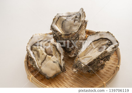 Oysters are in season during the summer. 139706119