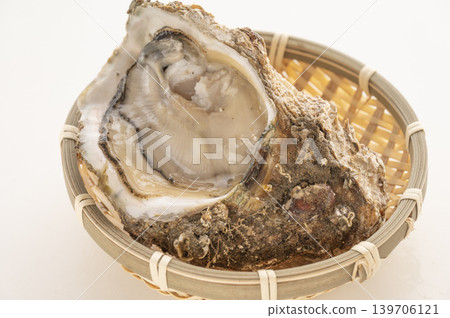 牡蠣的季節是夏季。 139706121