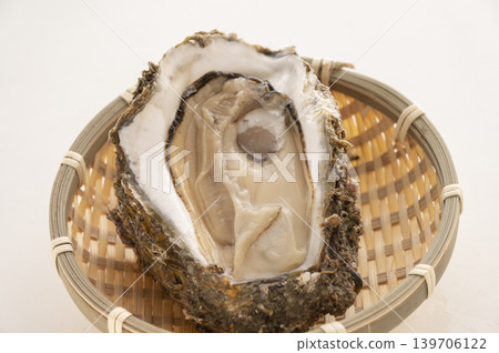 牡蠣的季節是夏季。 牡蠣的季節是夏季。 139706122
